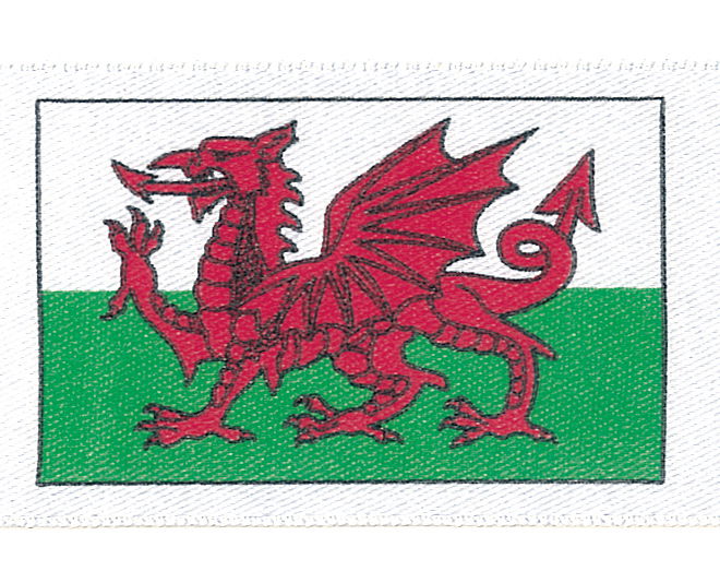 13666-25 - BERI WELSH DRAGON FLAG 25MM