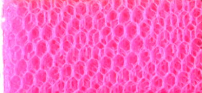 DN-FR NYLON DRESS NET FLUO ROSE 150CMS