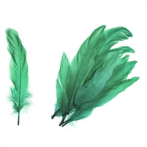 TD0020